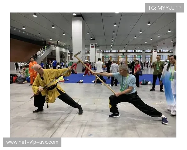 世界武术锦标赛:传统与现代的结合 世界武术锦标赛:传统与现代的结合